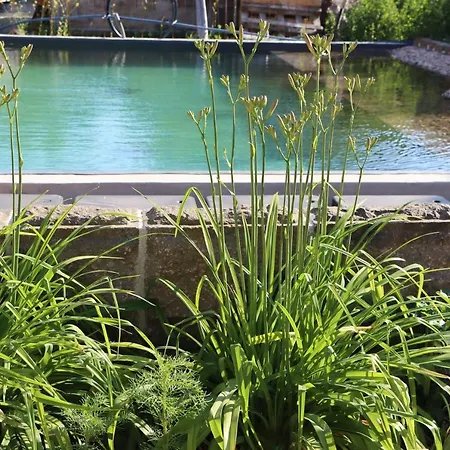 Drei-Seiten-Hof Etable Mit Schwimmteich Und Klimanlage Fuchshain Esterno foto