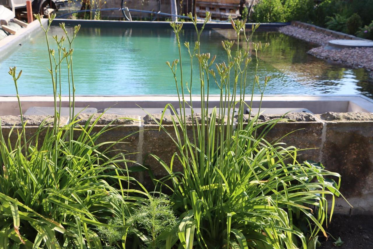 Drei-seiten-hof Etable Mit Schwimmteich Und Klimanlage Apartment